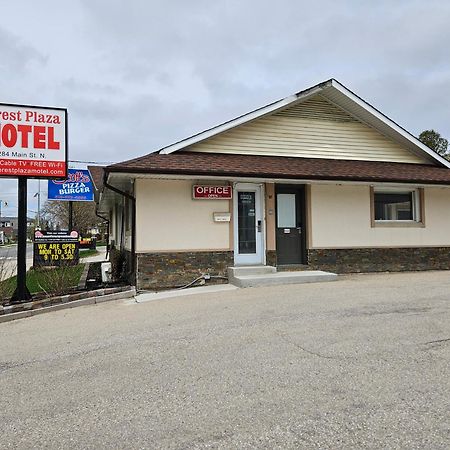 Forest Plaza Motel Mount Forest Exterior photo
